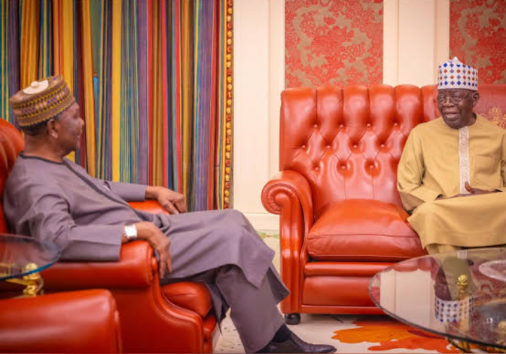 Former Nigerian Leader Gowon Visits President Tinubu, Praises Government’s Efforts