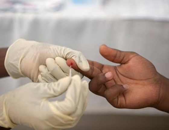 South Africa Faces Malaria Surge: Gauteng Reports 414 Cases and 11 Deaths Following Extreme Wet Weather