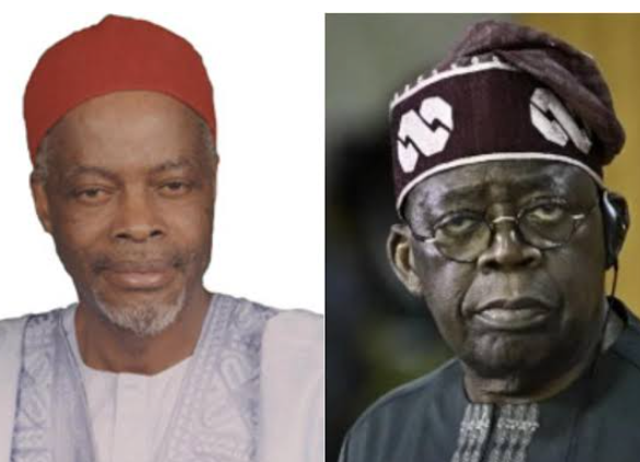 Nigerian Statesman Chuba Okadigbo’s 1992 Remark on Bola Tinubu Foretold Current Presidency, Says Lagos Official