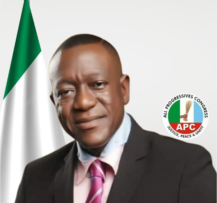 Nigeria’s Ruling Party Delays Presidential Primary as 2027 Election Race Intensifies