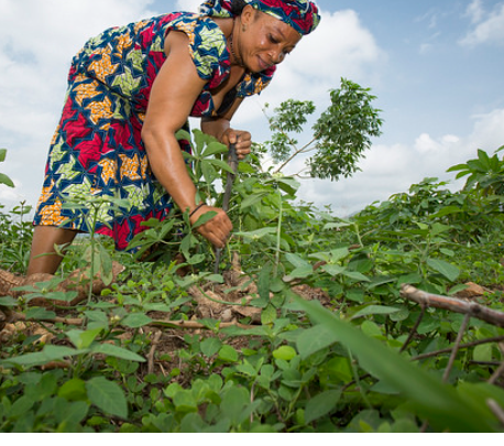 Nigerian States Back Agricultural Insurance Drive as ₦396 Million Reaches Small Farmers in Food Security Push